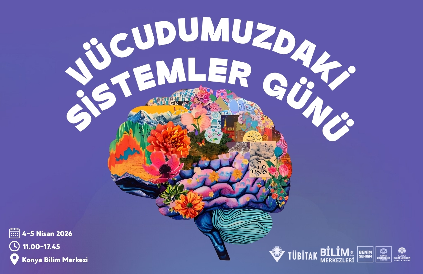 Vücudumuzdaki Sistemler Günü